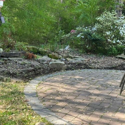 WhatsApp Image 2026-04-17 at 2.43.23 PM (1)