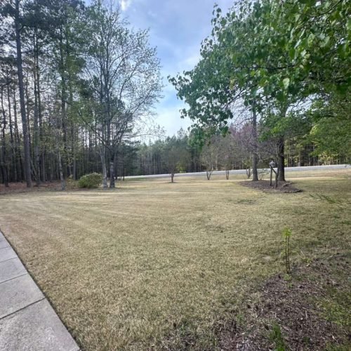 WhatsApp Image 2026-04-17 at 2.43.23 PM (2)