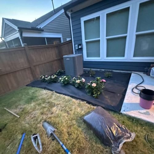 WhatsApp Image 2026-04-17 at 2.43.24 PM (3)