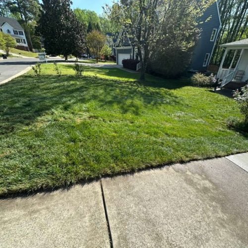 WhatsApp Image 2026-04-17 at 2.43.25 PM (3)