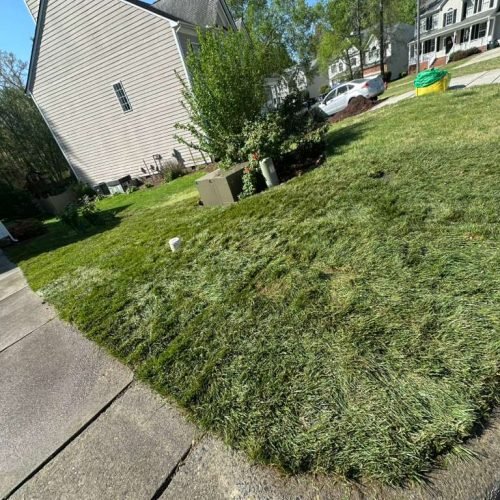 WhatsApp Image 2026-04-17 at 2.43.25 PM (5)