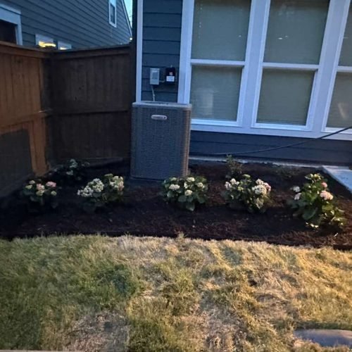 WhatsApp Image 2026-04-17 at 2.43.25 PM