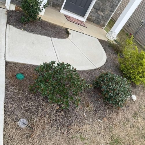 WhatsApp Image 2026-04-17 at 2.43.26 PM (1)